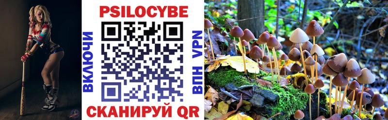 omg вход  сколько стоит  Змеиногорск  Галлюциногенные грибы ЛСД 