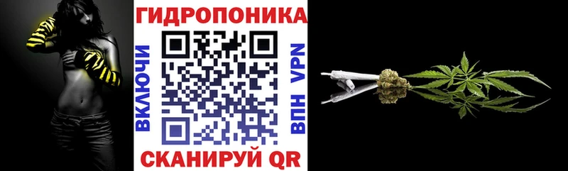 Шишки марихуана план  гидра маркетплейс  Змеиногорск 